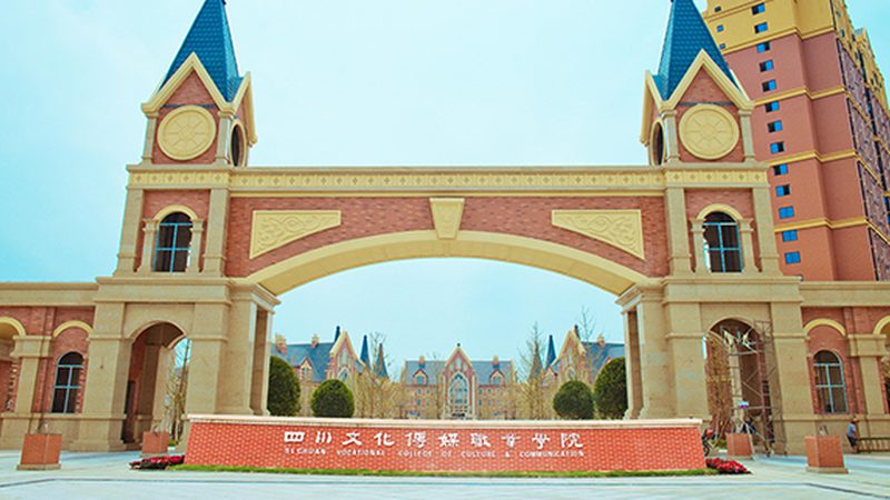 直播代运营定制方案：打造高效直播生态的关键
