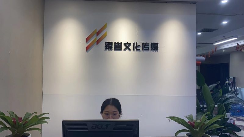 TVC广告片投放渠道对比：揭秘效果差异背后的秘密